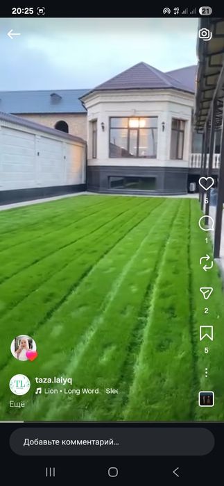 Газон орамыз. Шымкент