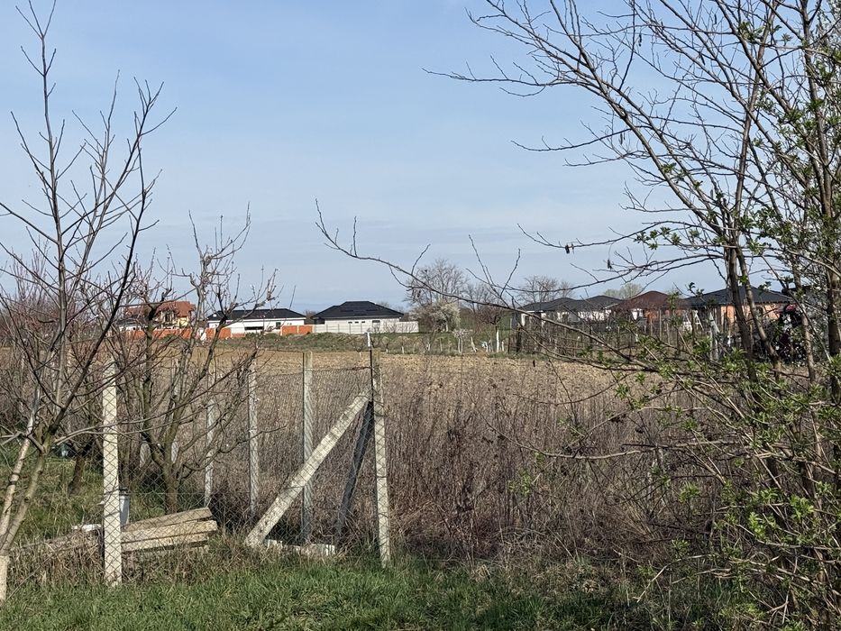 Vand Teren intravilan pt parcelare 86 Ari la intrare in Vetis