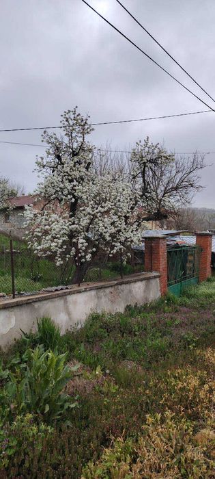 Едноетажна къща с парцел в село Динево, обл.Хасково