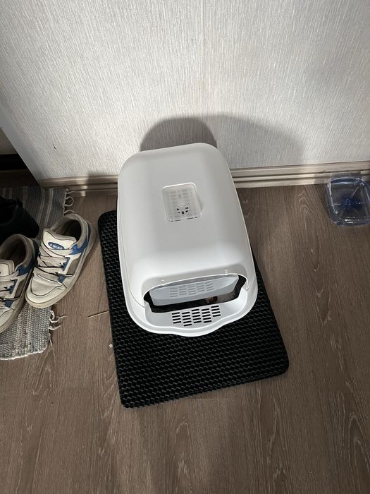 Кот со всеми принадлежностями