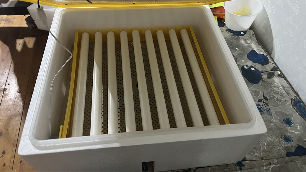 Inkubator 36 tuxum uchun