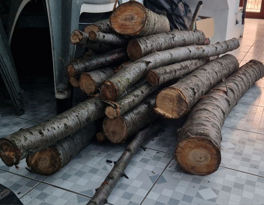 Lemn de cireș 1 m3