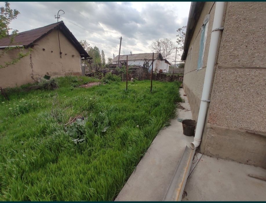 Продам дом в газалкенте (Искандер)