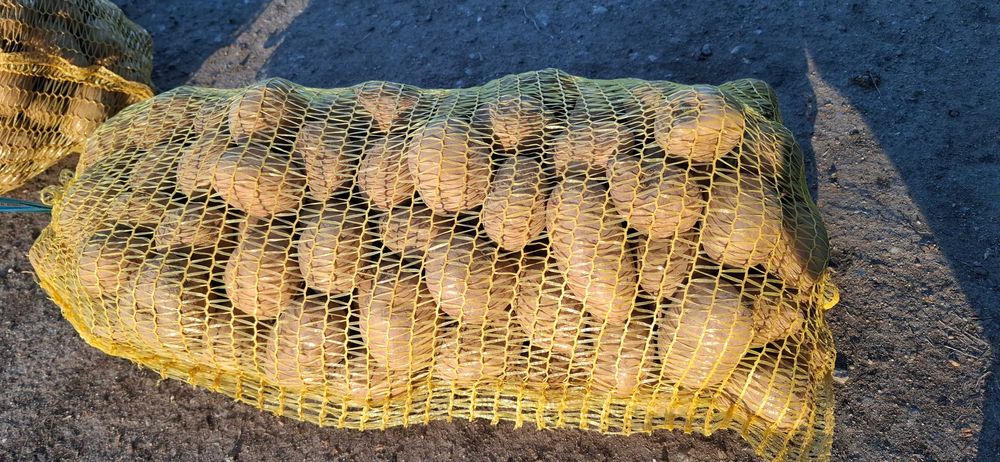 Картофи за консумация и семе