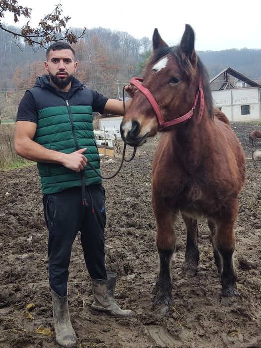 Formulează astăzi suma de un an de zile