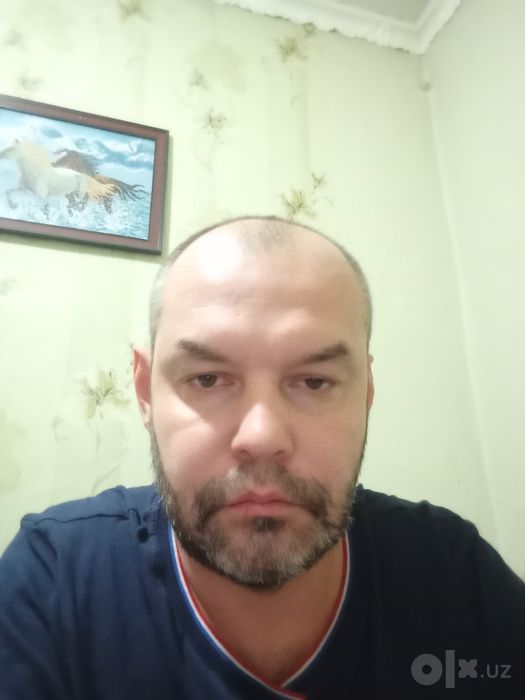 Мастер на час / Плотник