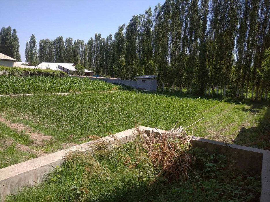 Farg'ona tumani Avval shaharchasida chek sotiladi!!!