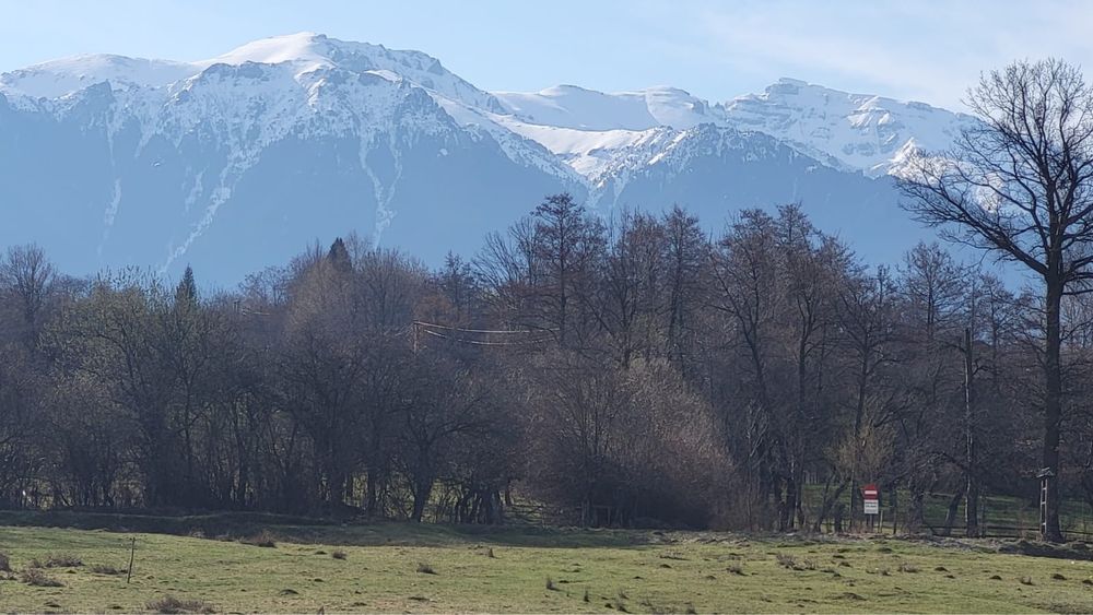 Teren de vanzare Bran