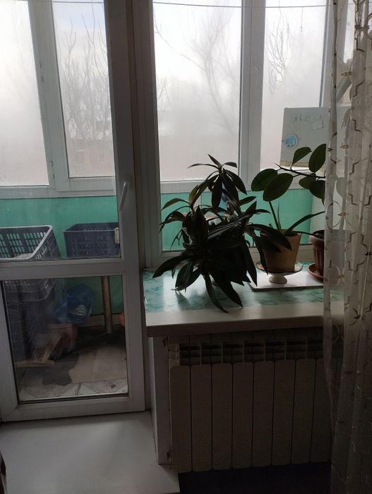 Сдаётся квартира в Майкудуке