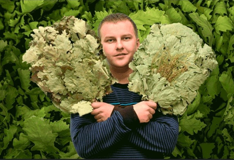 Дубовые веники для бани.