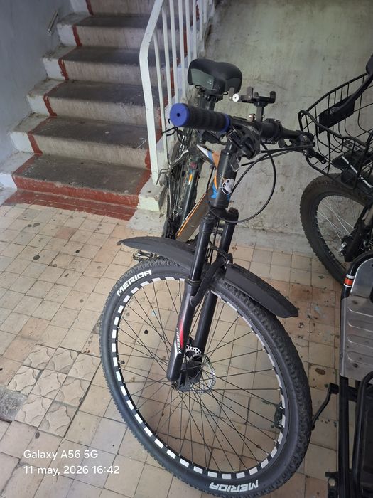 Velosapetsportmaster