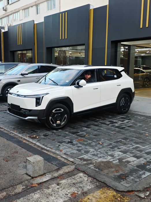 Dongfeng Nammi 06