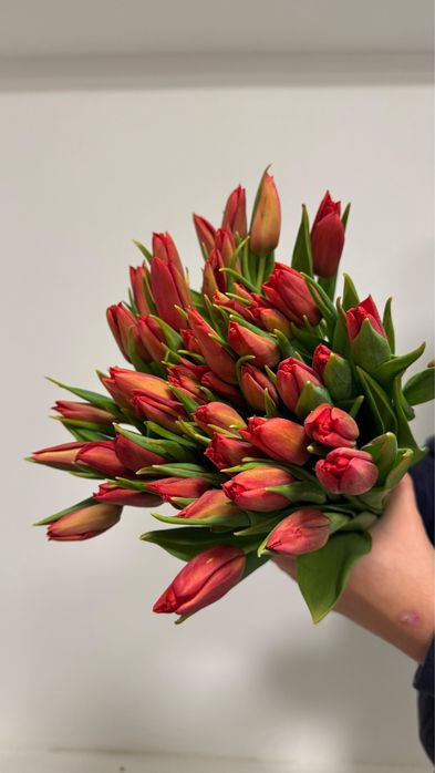 Тюльпаны красные/белые