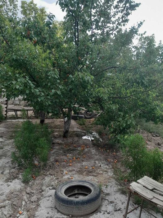 Нокис каласында Адай ауылда жай сатылады