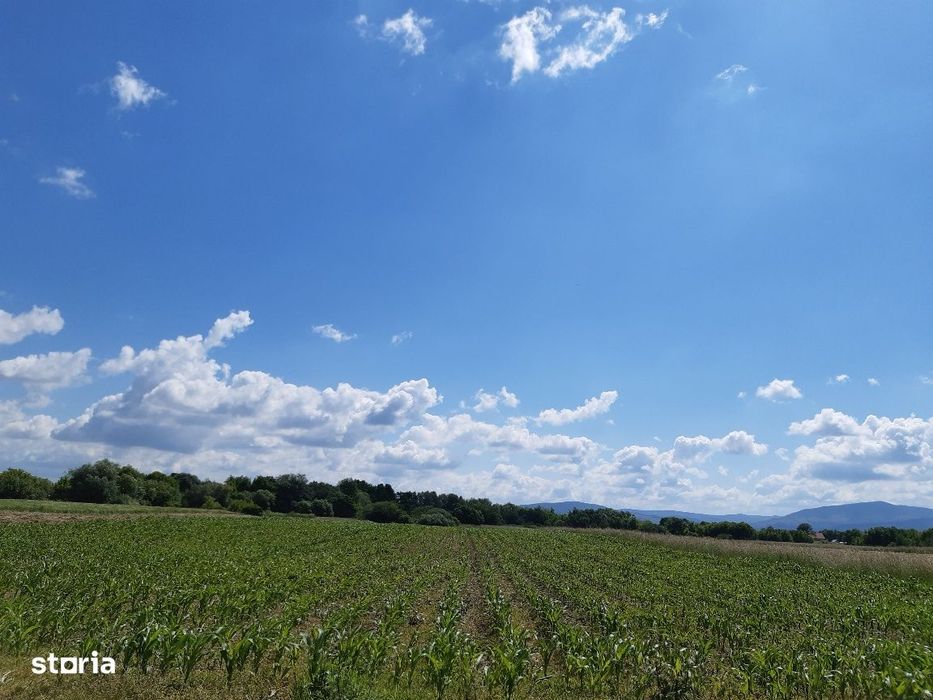 Teren agricol Podu Oltului la limita UAT Harman si UAT Prejmer