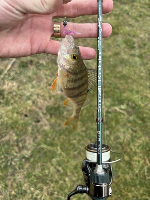 Lansete spinning nanojig mormishing