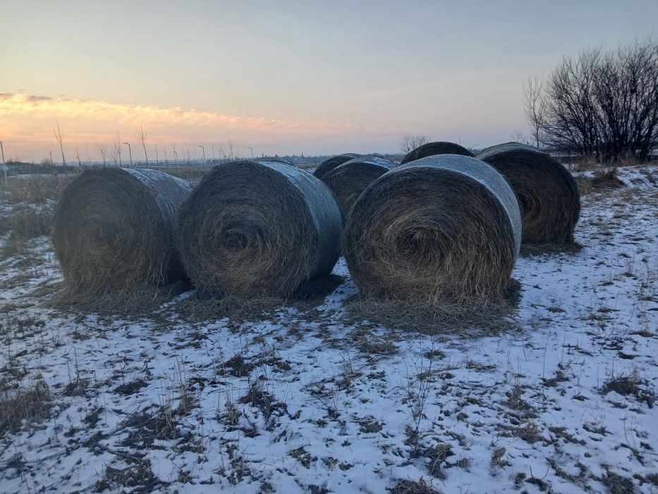De  vânzare  baloți  de fân