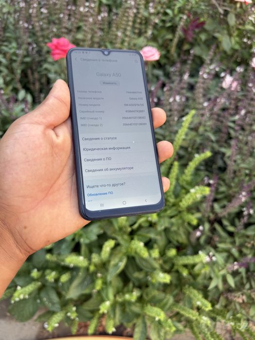 Samsung A17 dastavka bor