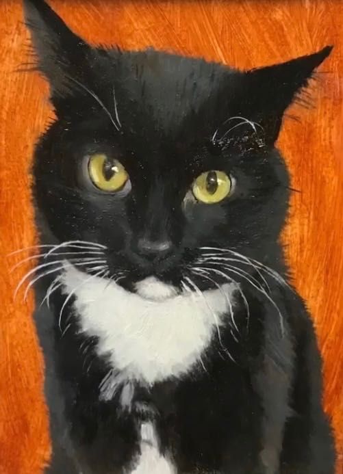 Потртрет домашнего питомца, кошки.