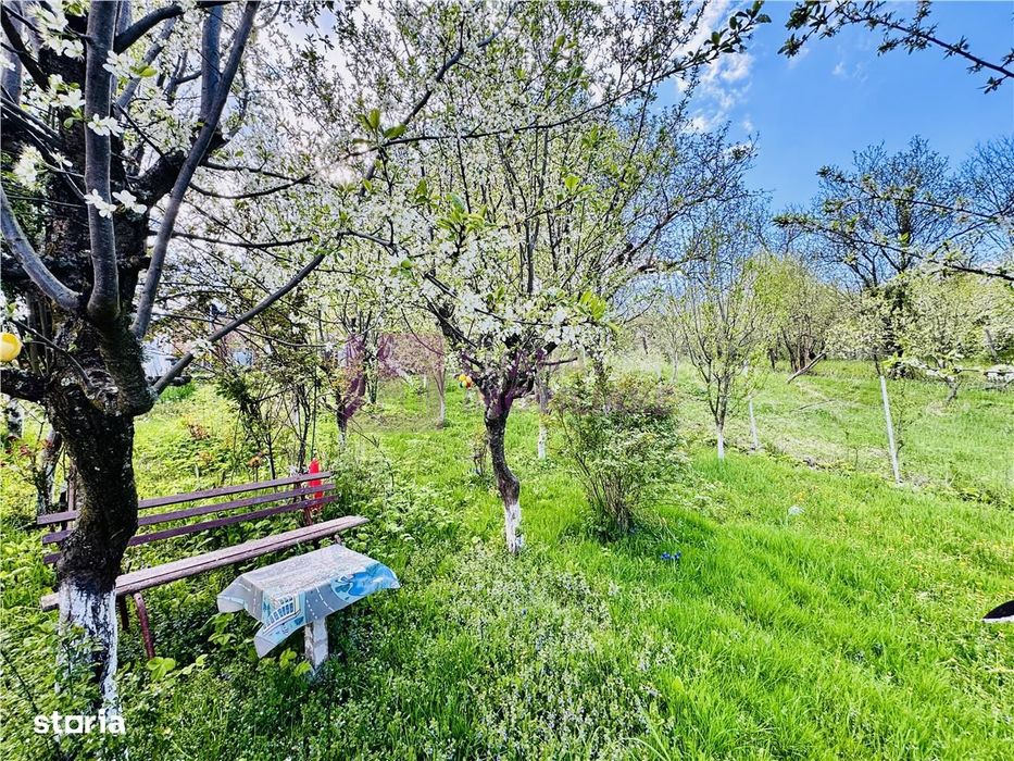 Casa individuala de vanzare in Nucet | Rosia | teren 747 mp | livada,