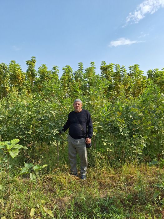 Кучатлар манзарали