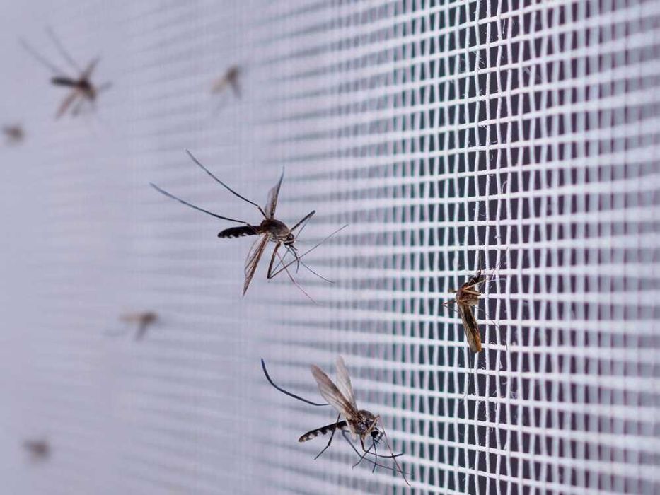 Plasa tantari fereastra cu banda magnetica 150x180 cm anti-insecte alb