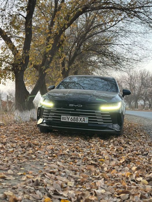 BYD Chazor 2024 — 4