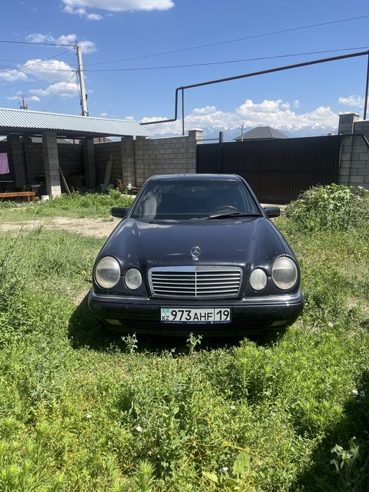 Лупарик в рассрочку