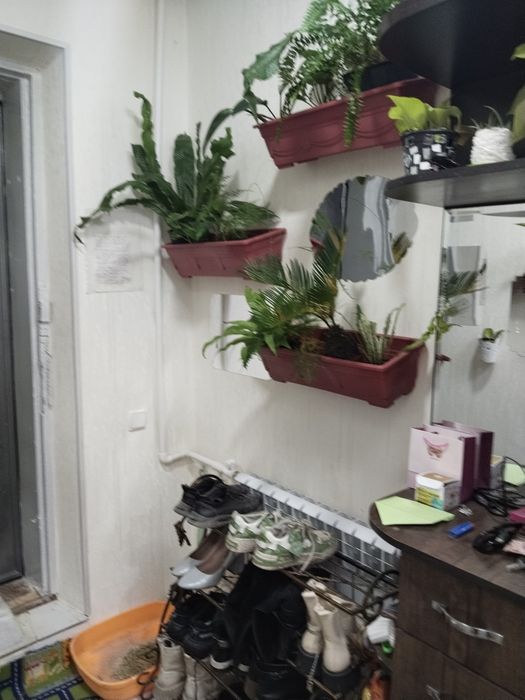 Продам 1 комнатную квартиру. Сергели -2.