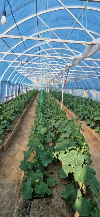 Продам теплица каркас