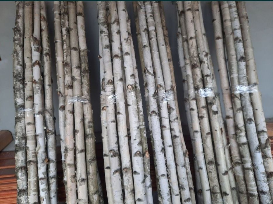 Lemn mesteacan / Paravane mesteacan alb / Tulpini mesteacan