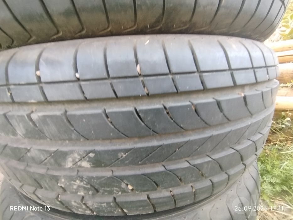 Bars balon razmer 16