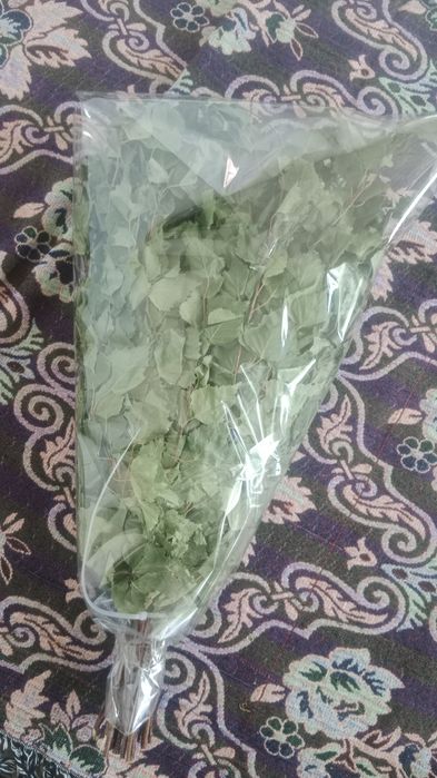 Банные веники (берёза)