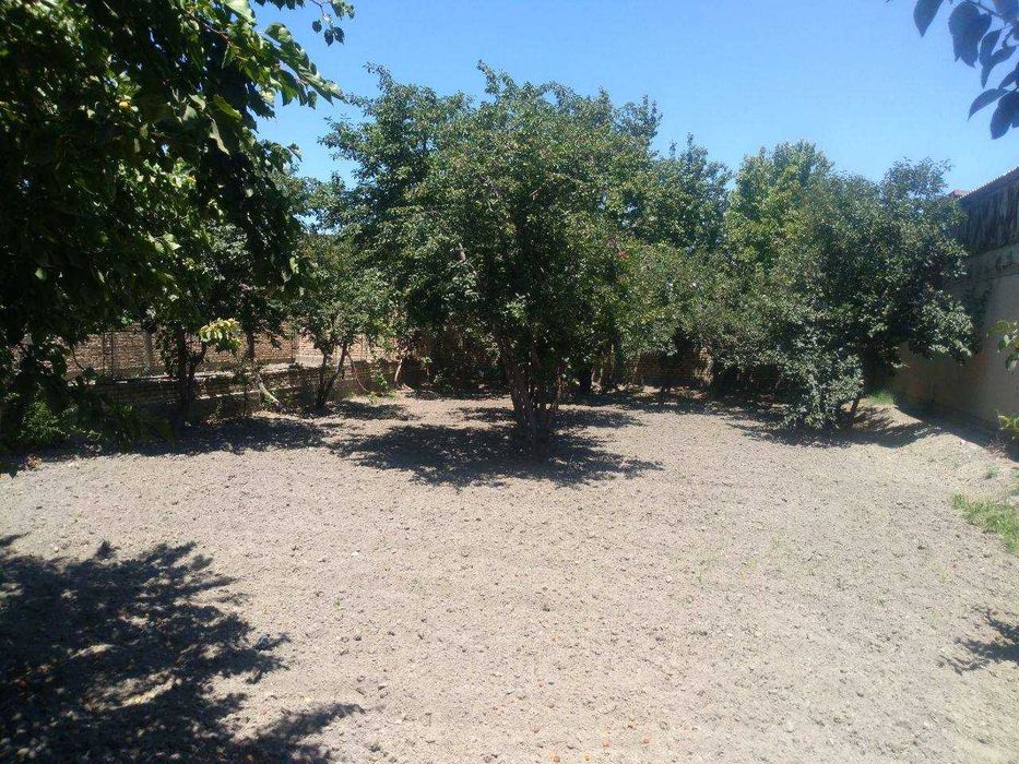 ,5 sotiqli hovli sotiladi #a236