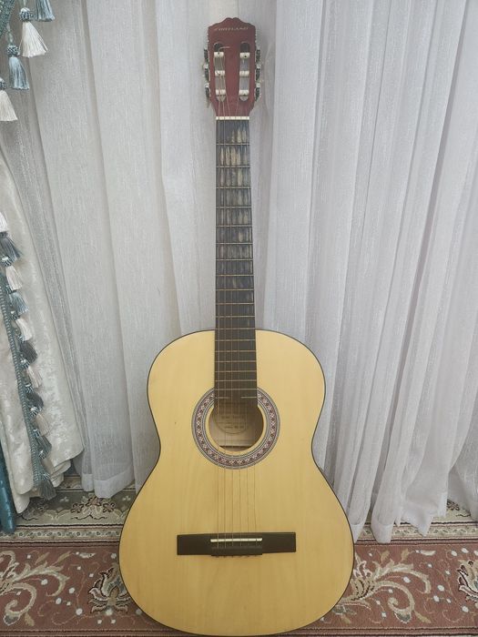 Cortland мс-101 серия: амадеус, акустическая гитара