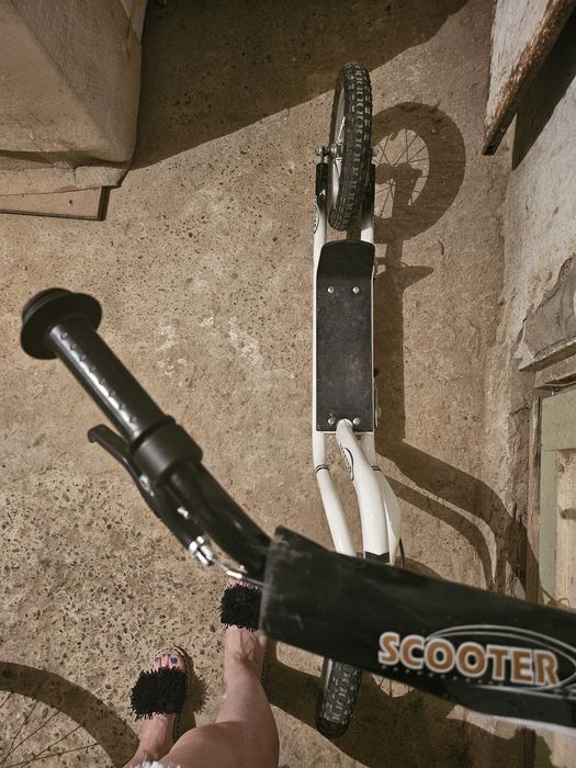 Trotineta  250 lei