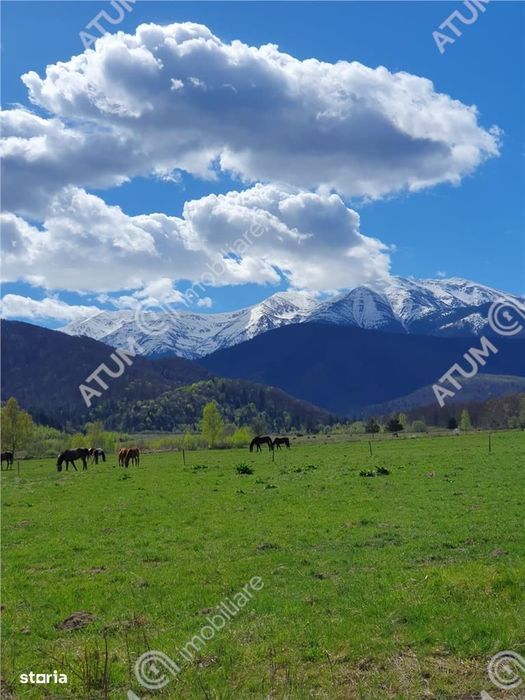 Teren intravilan 1250 mp de vanzare in Avrig zona Valea Avrigului