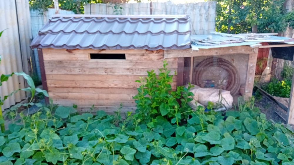 Переносной курятник