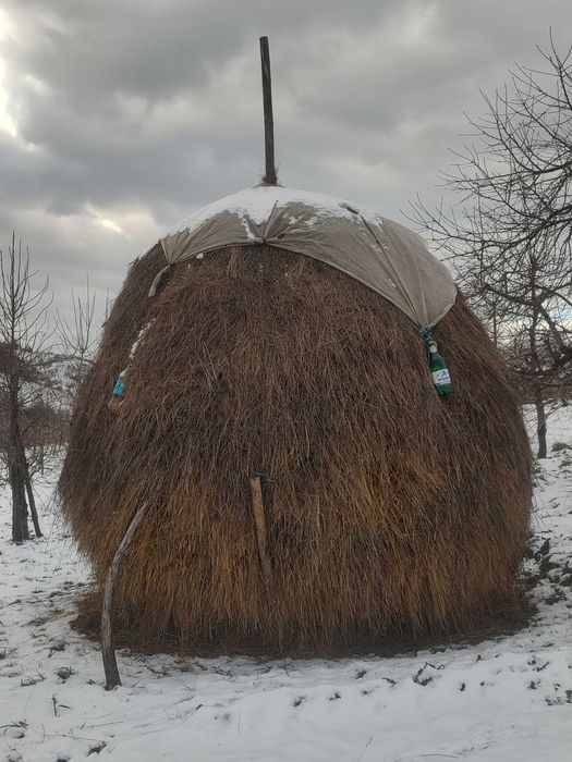 Vand 2 stoguri de fan