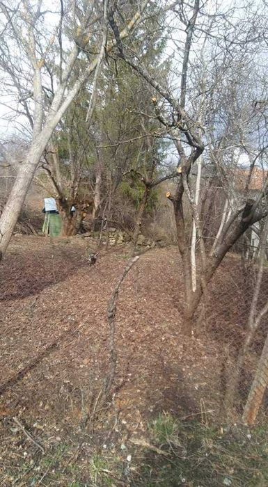 Продава се Парцел в с. Поцърненци, Област Перник - 660 кв.м за 29 €/кв.м - Снимка #12