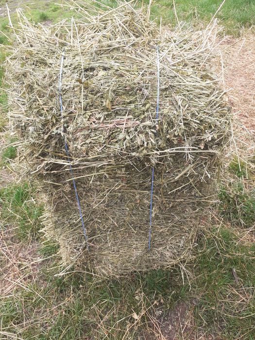 Vând baloti de fan și lucernă