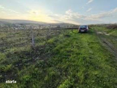 Teren extravilan Comarna, ID: R3075286