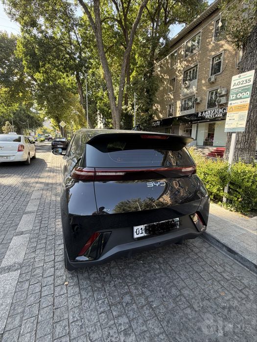 Byd Seagull 2025 yil