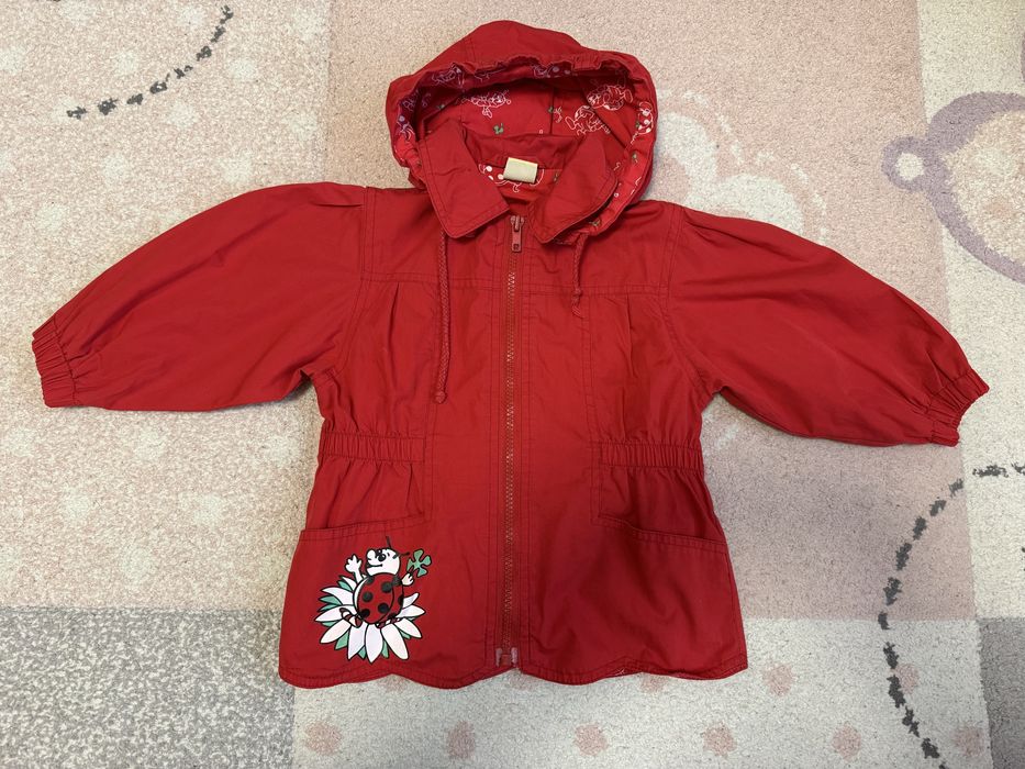 Lot gecute primavara