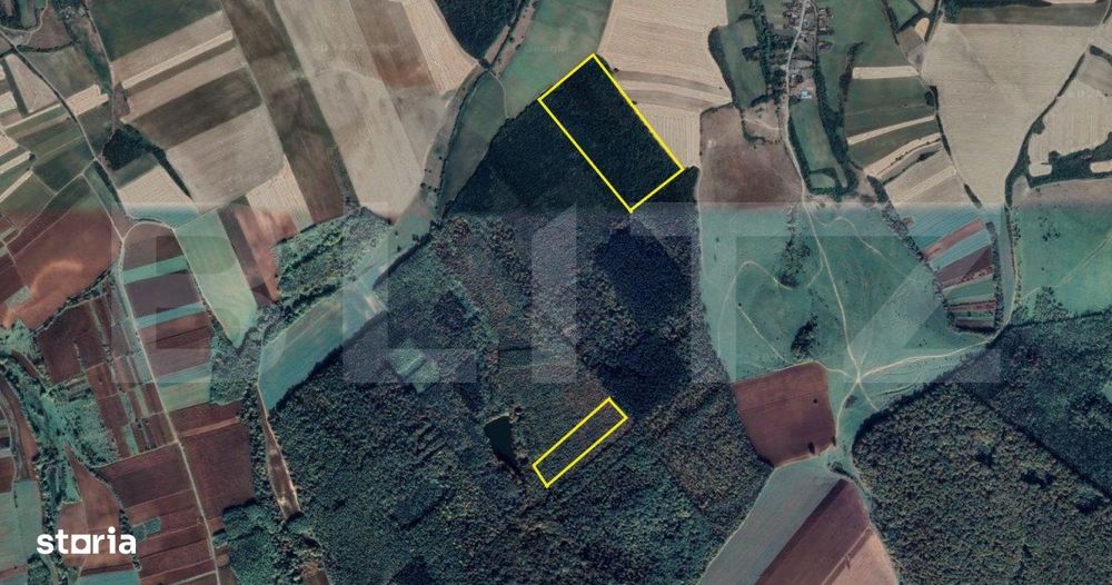 Padure - Localitatea Pir, Judetul Satu Mare