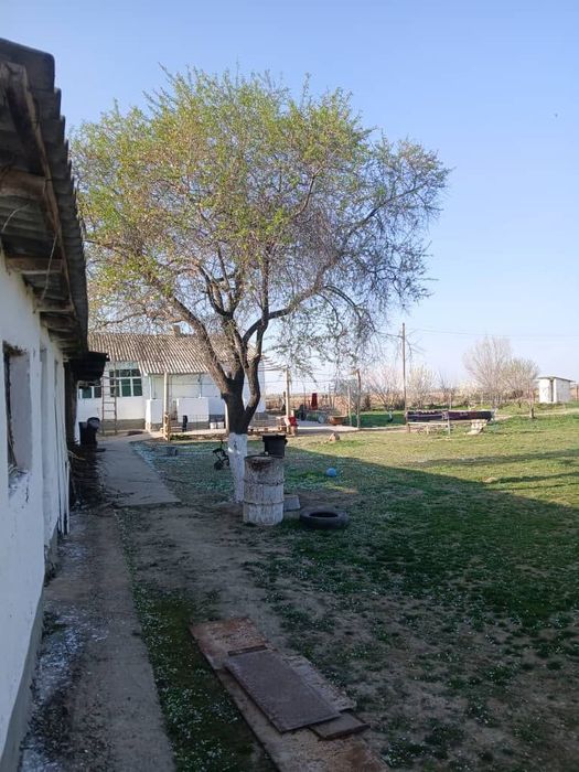 Бука тумани Самарканд МФЙ КОЗОКОВУЛ кишлогида уй-ховли жой сотилади