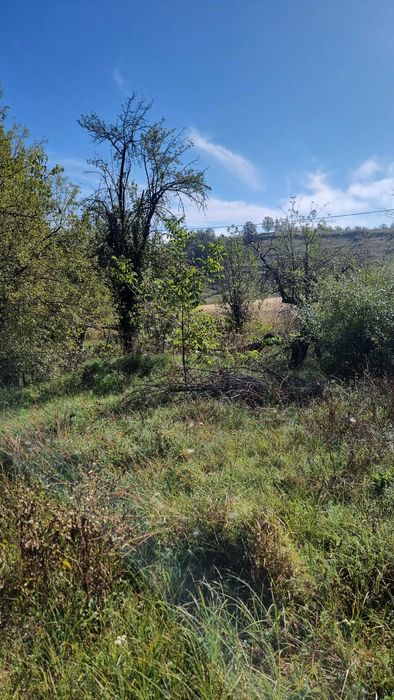 Vând salaș in comuna Sichevita