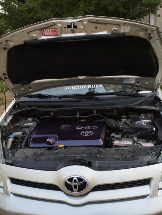 Полиране на фарове и боя , Боядисване на спирачни апарати елементи и к