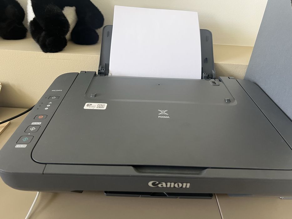 Принтер Canon pixma mg2541s