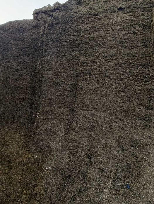 Сенаж люцерны продаем